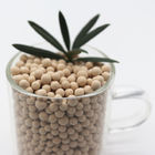 10 Angstroms Pore Size Molecular Sieve Zeolite Na2O Content 2-4% For Applications
