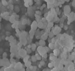 Beta Zeolites Used For Catalyst Catalyst Carrier And Adsorbent Selective Adsorption