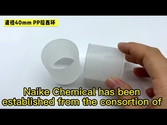 PP Raschig Rings for tower packing PVDF Random Packing Plastic Raschig Ring For Stripping Tower