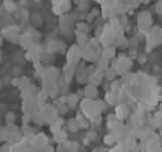 Beta Zeolite Catalyst Zeolite Specific Surface Catalyst Catalyst